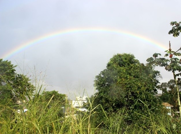 Semana com sol e chuva na região Sul 