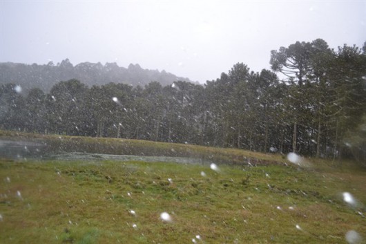 Serra catarinense registra primeira neve do ano
