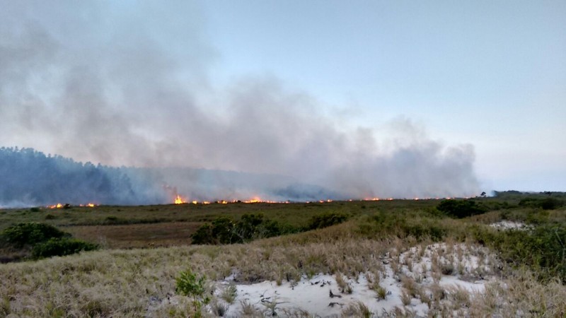 Combate de incêndio em vegetação dura 16 horas em Laguna 