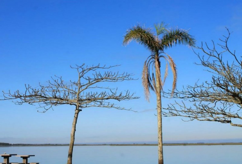 Semana será com sol e chuva de Verão 