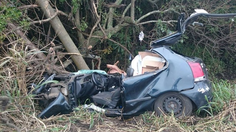Casal morre após colisão em árvore