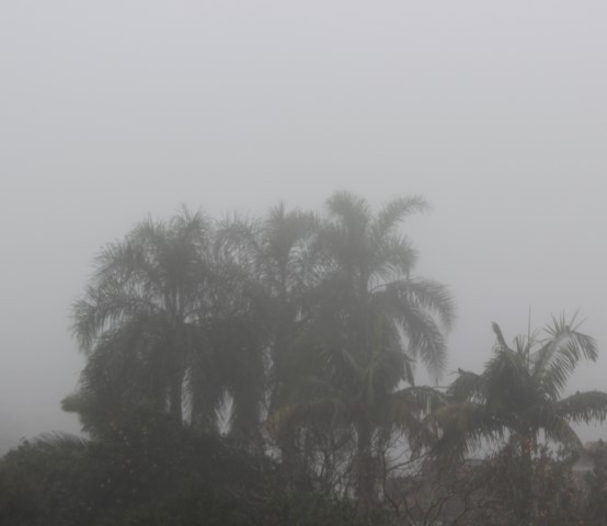 Litoral Sul amanhece com forte nevoeiro 