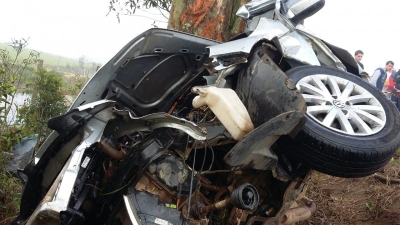 Motorista sobrevive após carro colidir em árvore