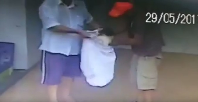 Cadela é abandonada com filhotes dentro de saco plástico