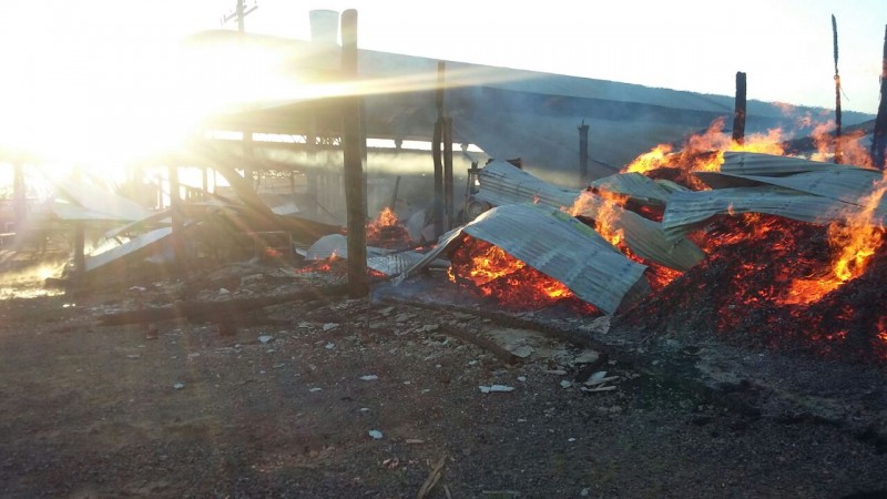 Incêndio destrói parte de madeireira 