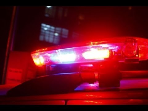 Morador atira em cachorro e é encaminhado à delegacia