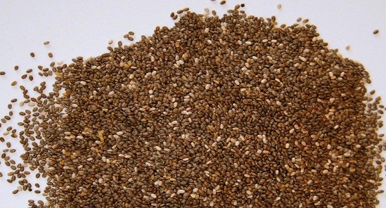 Departamento de Agricultura inicia cadastro de agricultores para doação de sementes de pastagem