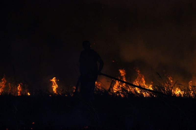Queimadas já correspondem a 85% das ocorrências atendidas pelos bombeiros em 2020
