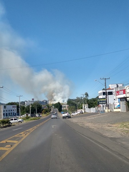 Fogo em vegetação no bairro Floresta reinicia e bombeiros são acionados para combater as chamas