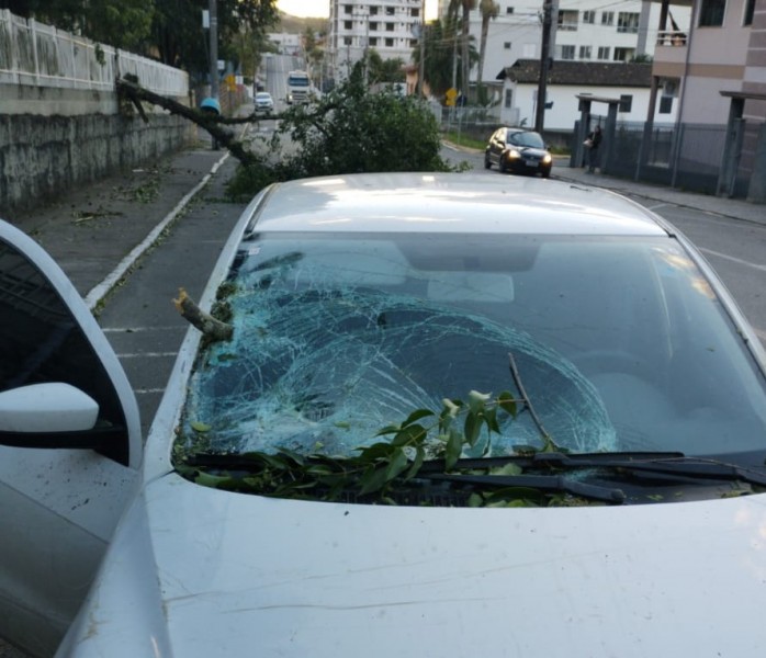 Carro é atingido por árvore enquanto circulava pelo Centro de Cocal do Sul