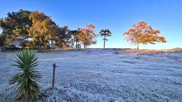O frio em imagens: Serra catarinense registra temperatura negativa e geada nesta quarta-feira