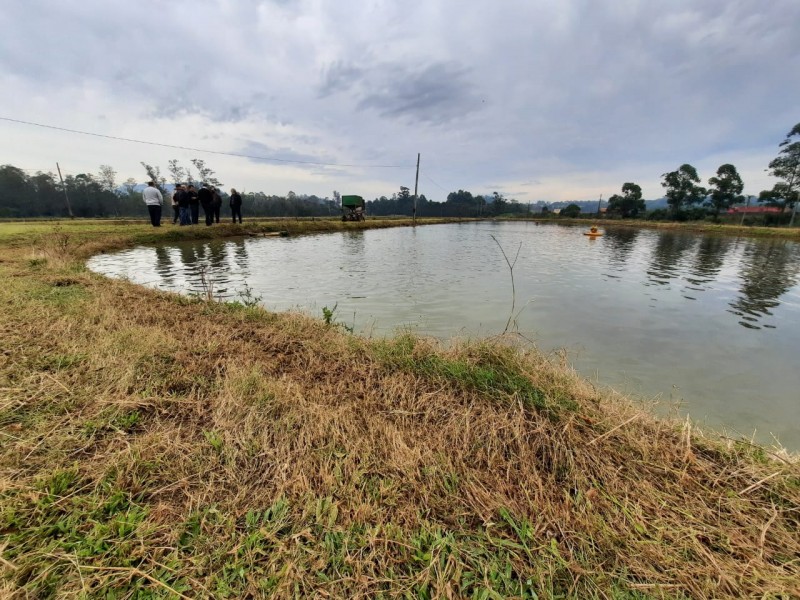 Agropecuária Familiar de Criciúma é destaque na produção de grãos, banana e tilápia