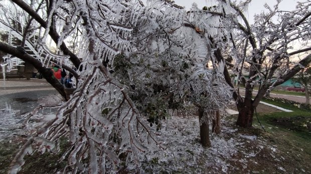 Quinta-feira será mais um dia de frio intenso em Santa Catarina