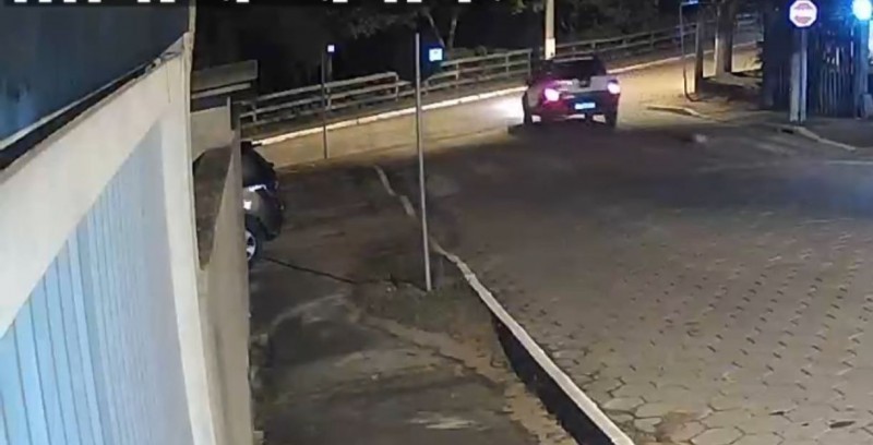 Polícia Civil identifica motorista suspeito de arrastar cachorro em Morro da Fumaça