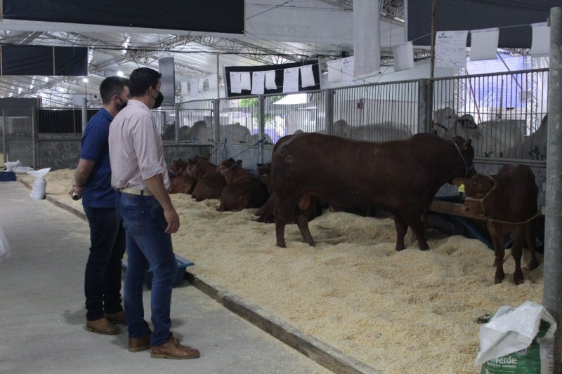 Público já pode visitar a Feira AgroPonte 2022