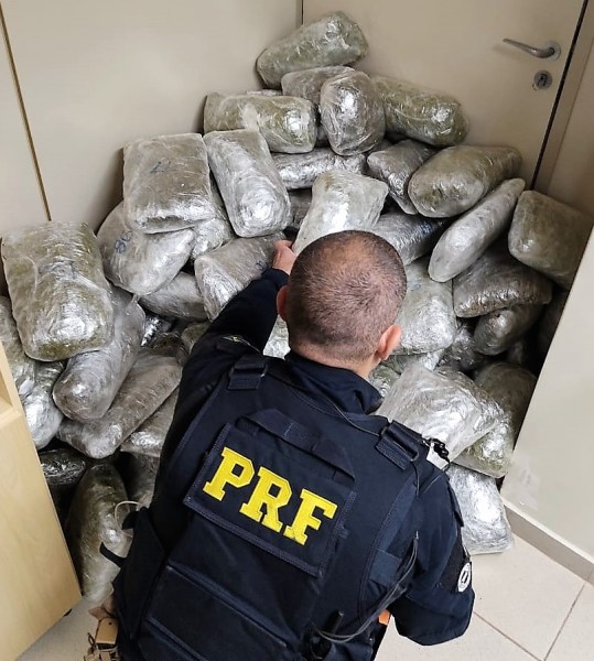 Policiais rodoviários apreendem mais de 60 quilos de skunk na BR-101