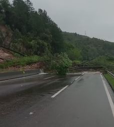 BR-101: Morro dos Cavalos segue interditado nesta quinta-feira 
