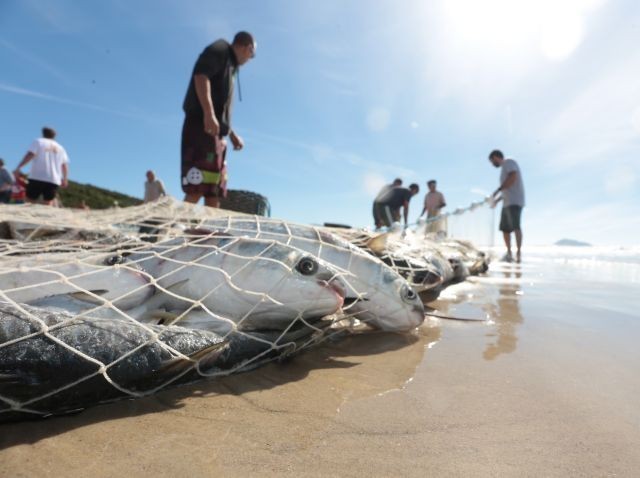 Pescadores iniciam preparativos para a temporada da tainha: 'esperança de boa safra'