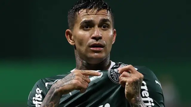Dudu no Palmeiras: trajetória e evolução