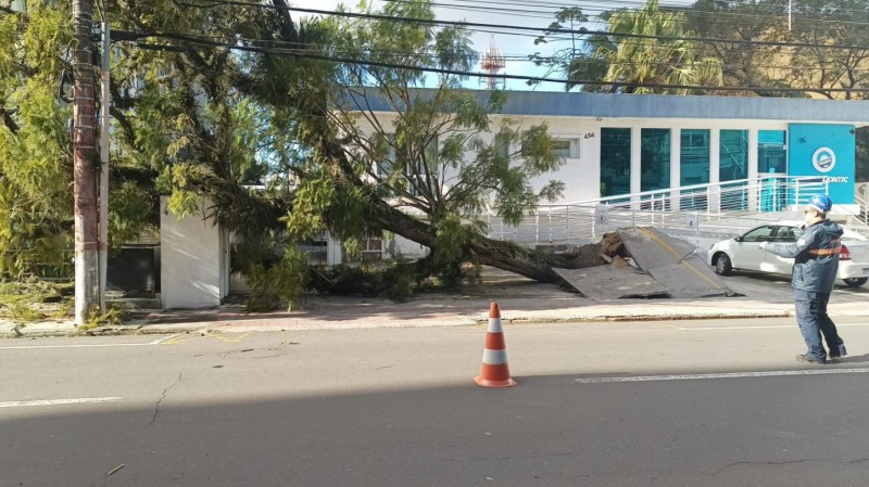 Defesa Civil atende ocorrência de queda de árvore no centro de Criciúma