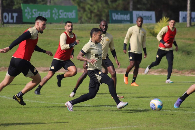 Na retomada do Brasileirão, Criciúma encara o Palmeiras neste domingo; veja prováveis escalações
