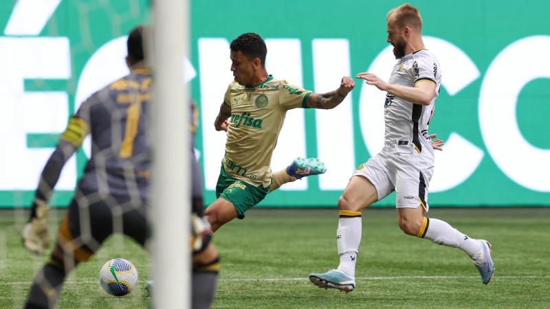Goleada sofrida para o Palmeiras deixa o Criciúma com a segunda pior defesa do Brasileirão