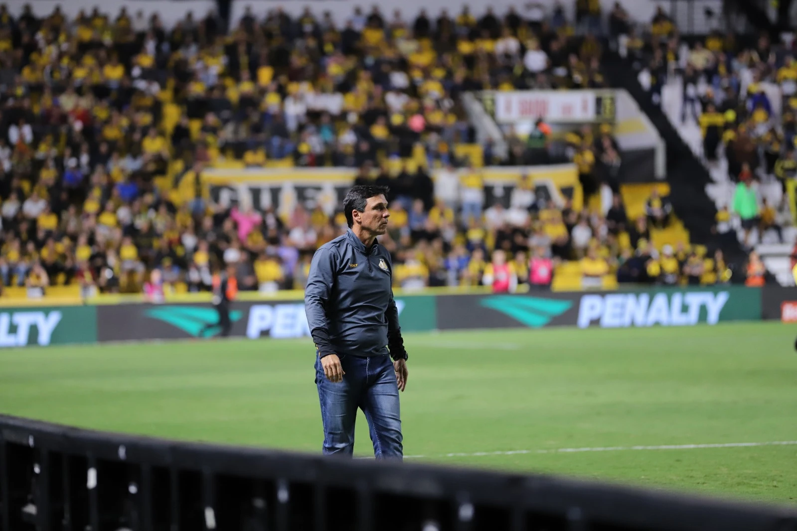 imagem do card de noticia