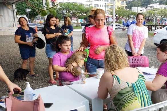 imagem do card de noticia