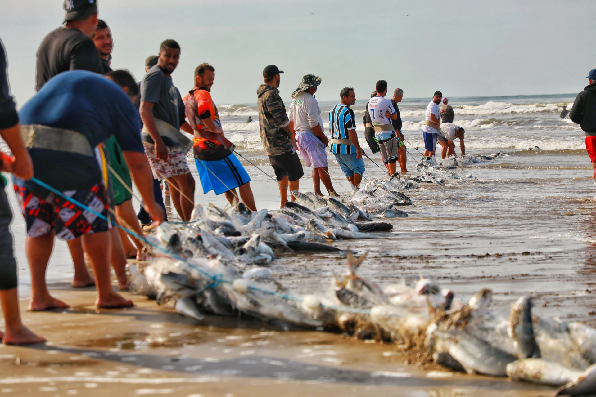 Vídeo: 'todo mundo muito feliz', celebra Cida após pesca de 15 toneladas de tainha em Balneário Rincão - Portal Engeplus
