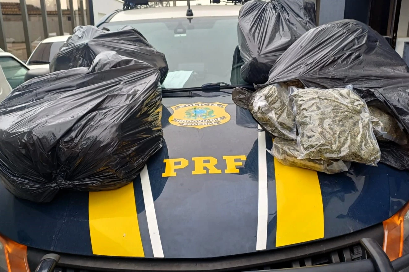 PRF apreende grande quantidade de droga com alto poder alucinógeno em Imbituba - Portal Engeplus