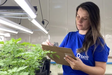 Container de cultivo automatizado recria qualquer clima e acelera testes agrícolas em Criciúma