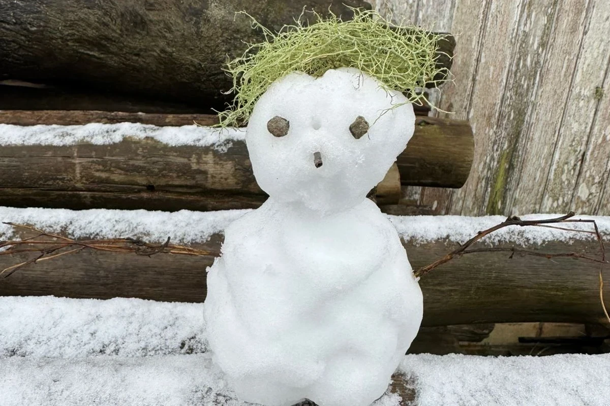 Passagem de ciclone e neve na Serra: relembre como foi agosto no Sul de Santa Catarina