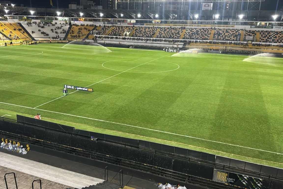 imagem do card de noticia