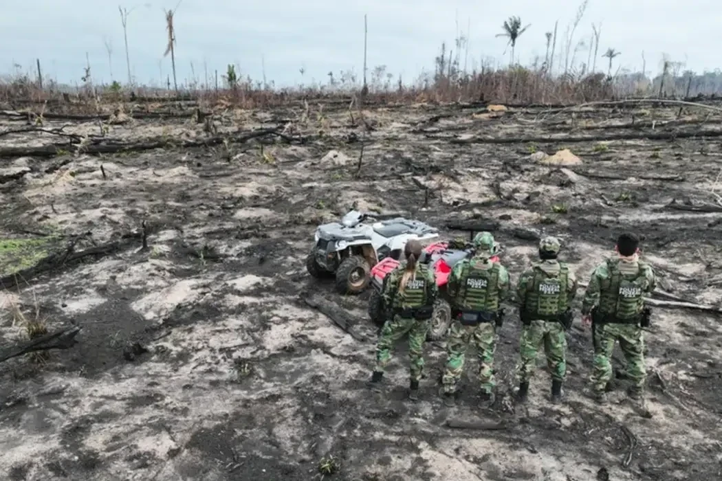 Desmatamento na Amazônia ameaça rios e aumenta o risco de falta d’água