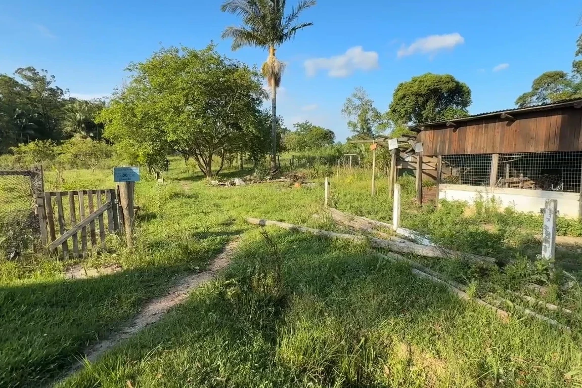 Veja fotos e vídeo do local onde será construída a Central do Recomeço, em Criciúma