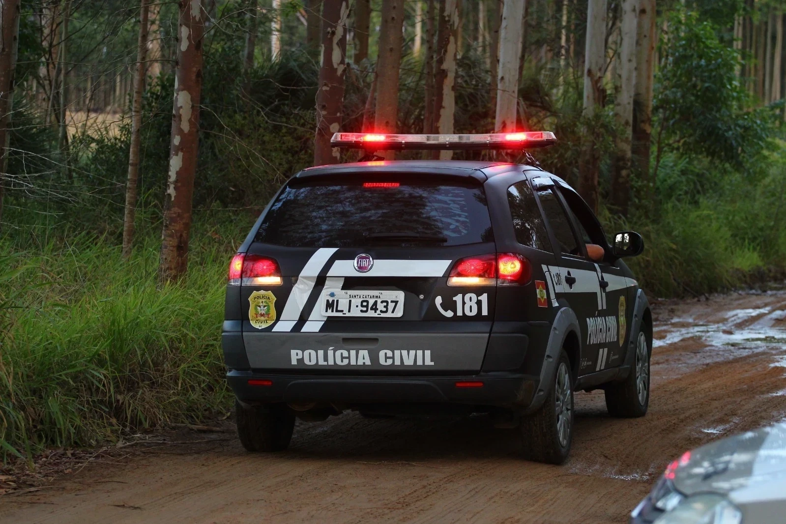 Caso Daniele: Polícia Civil identifica responsáveis por tortura e morte de adolescente