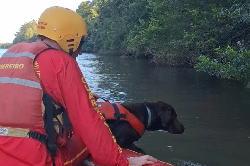 Buscas por idoso desaparecido mobilizam bombeiros de três cidades no Sul catarinense