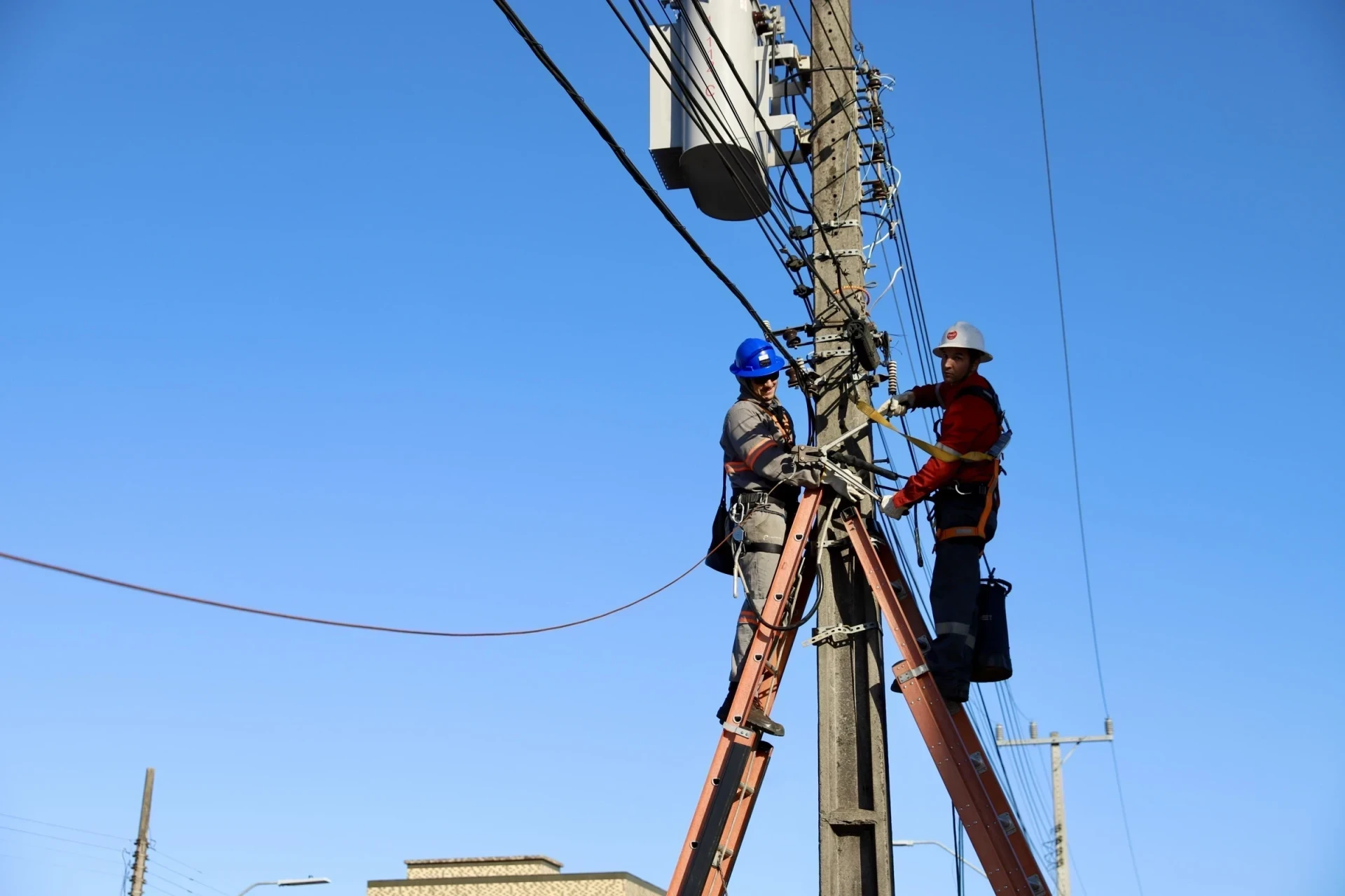 Criciúma: Limpa Fios retira 300 kg de cabos soltos em primeira operação do ano