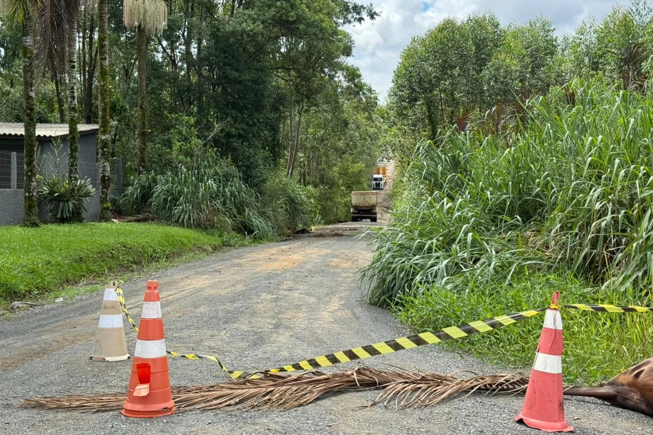 Criciúma: após via ceder e carro ser arrastado, rua no bairro ...