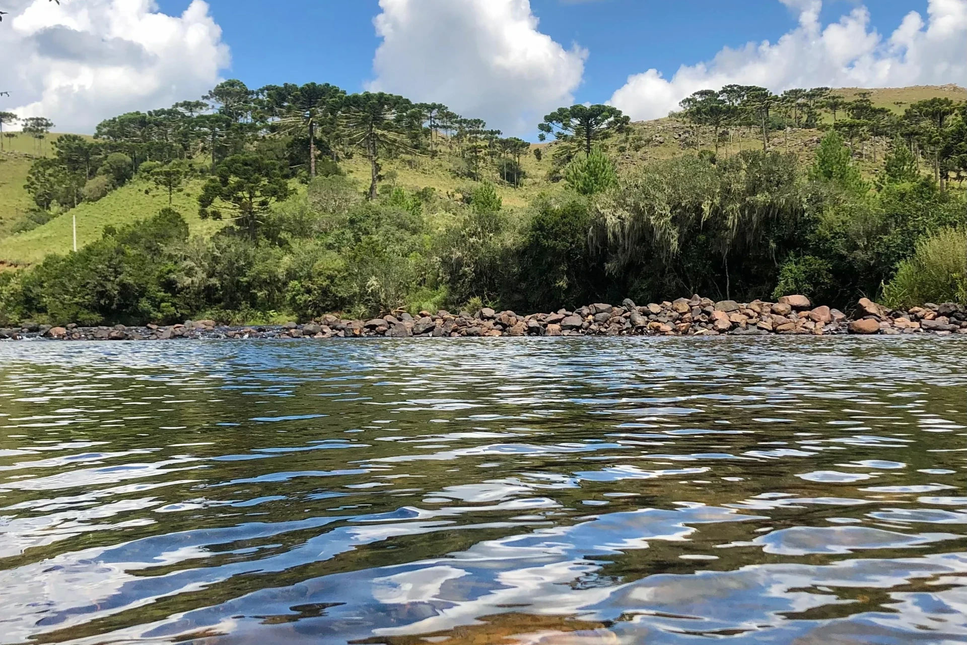 Relatório de balneabilidade em Santa Catarina aponta redução nos locais impróprios para banho