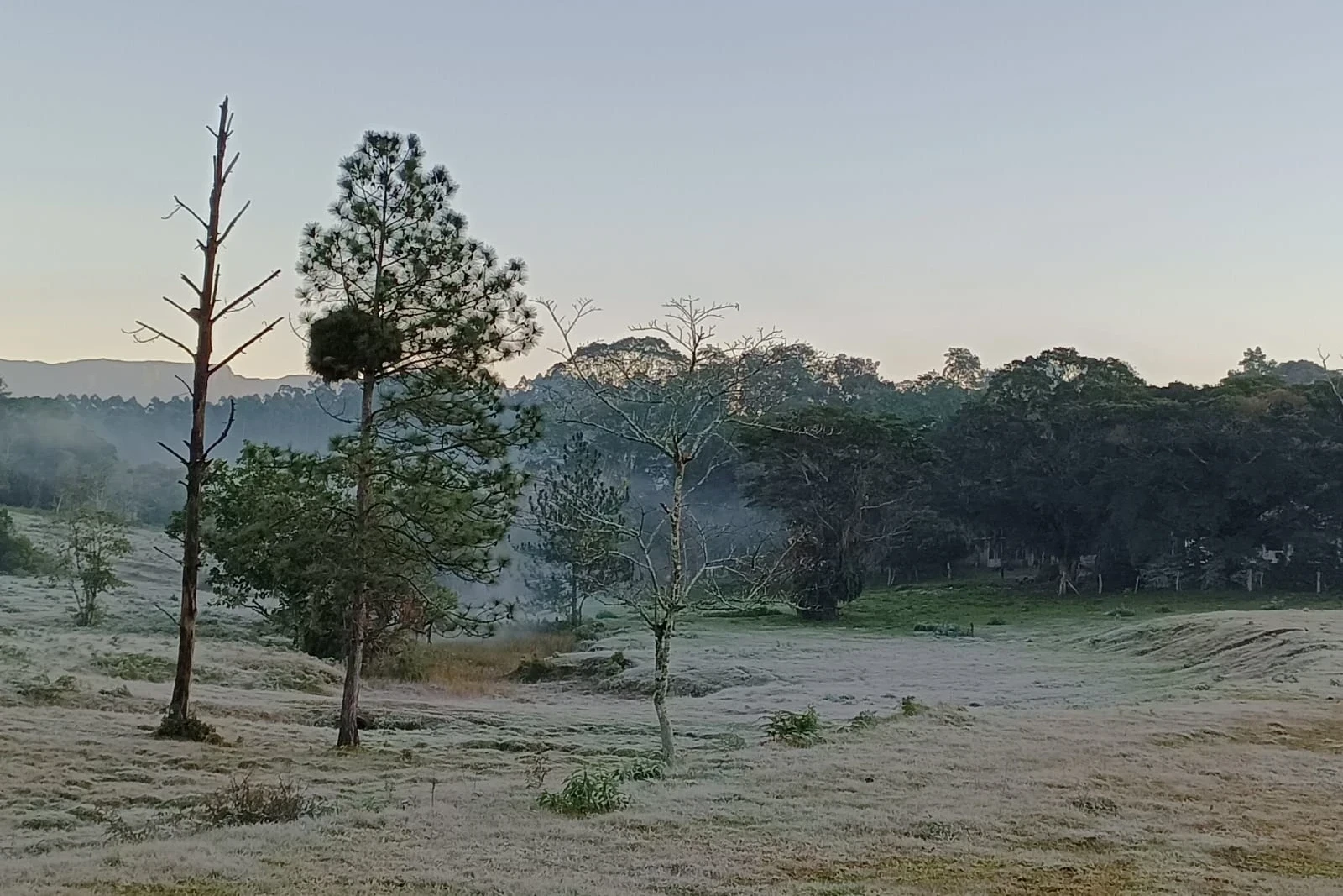 Criciúma registra menor temperatura do ano nesta segunda-feira