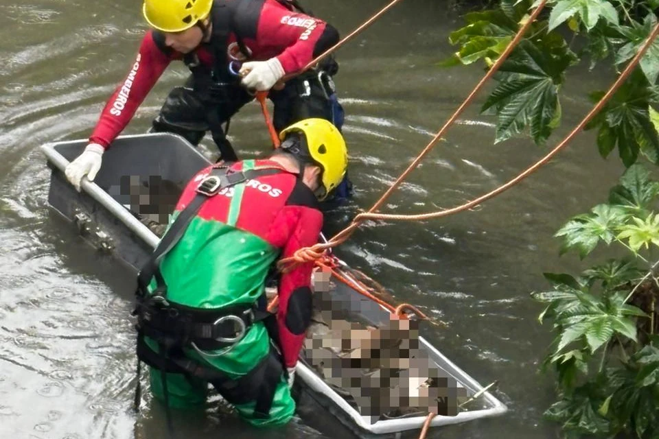 Fotos: corpo de homem é encontrado no rio Criciúma