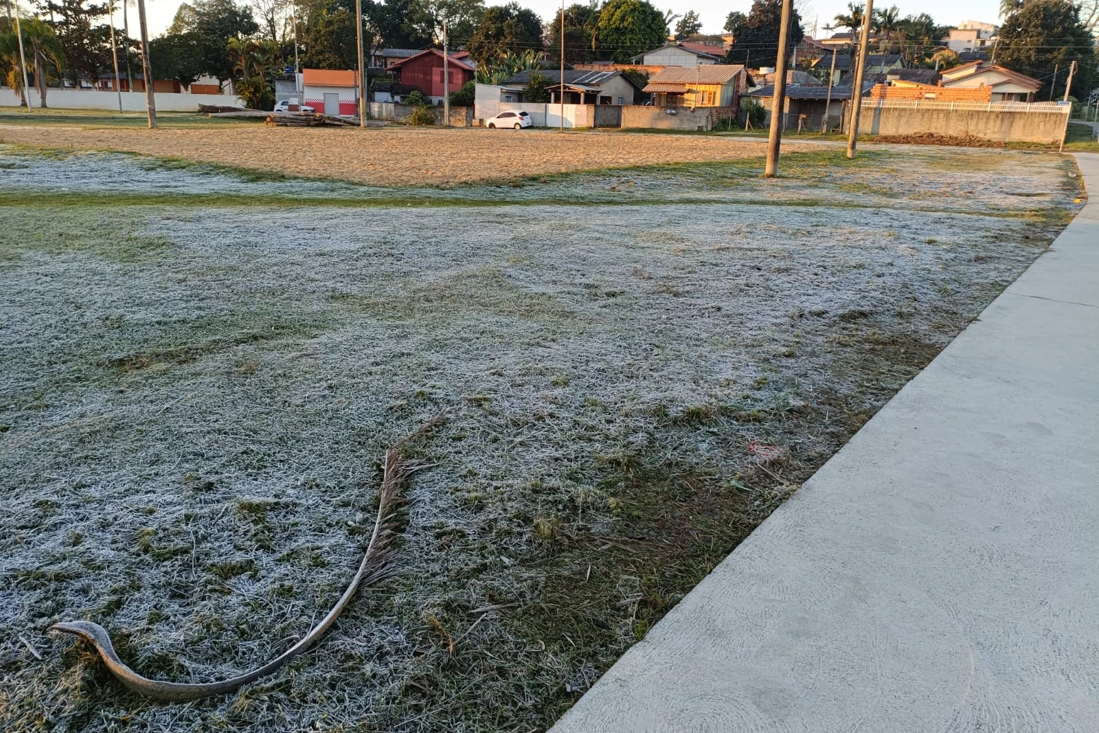 Criciúma registra mínima negativa após anos e amanhece com geada; veja fotos