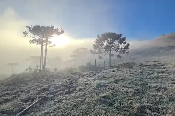 Santa Catarina amanhece com frio intenso e registra -6,1°C nesta quarta-feira