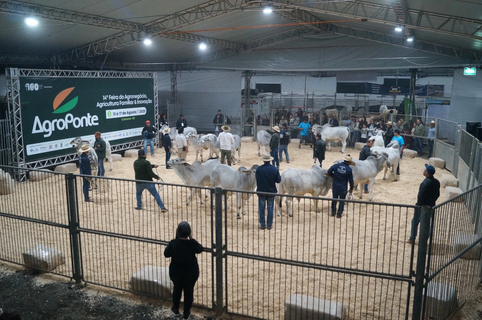 galeria-2