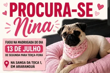 Procura-se Aline Gabriel Patrício