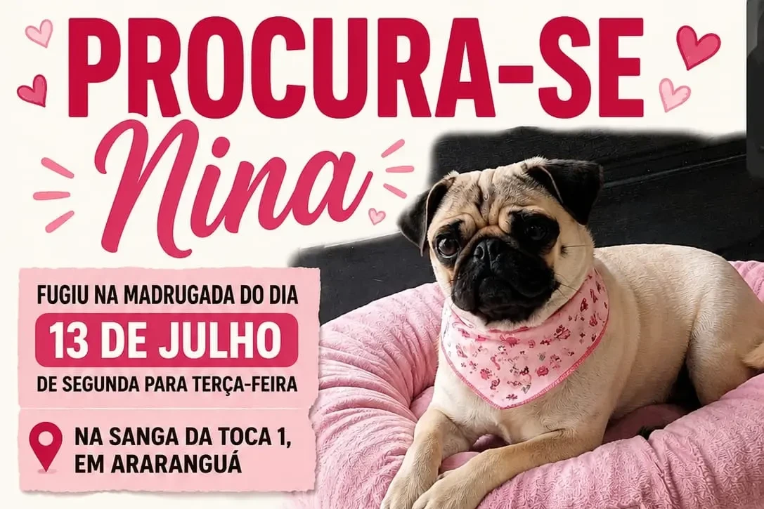 Procura-se Aline Gabriel Patrício