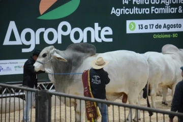 Feira AgroPonte tem expectativa de atrair 100 mil visitantes durante edição de 2026