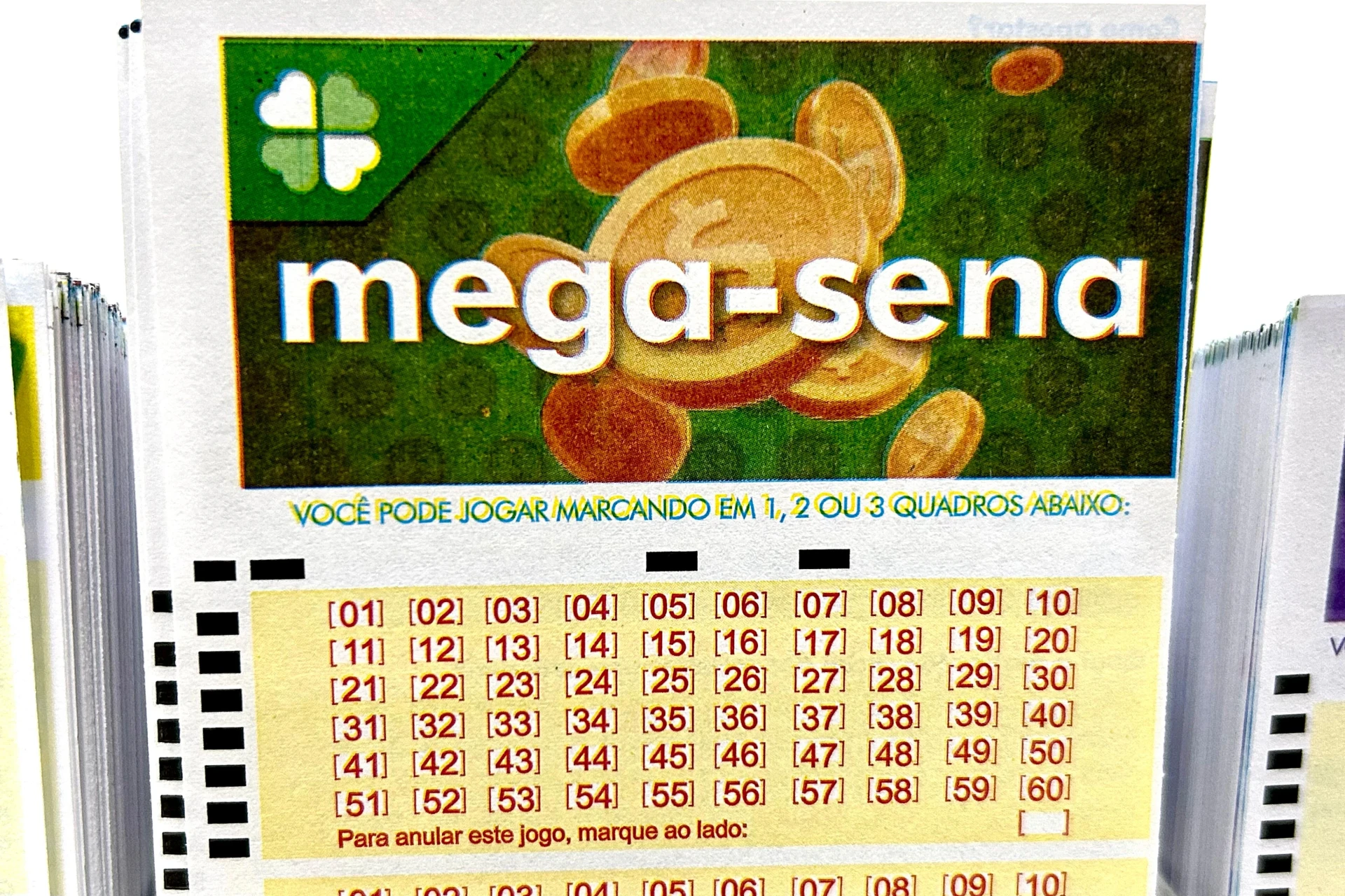 Aposta de SC acerta a quina da Mega-Sena; confira o resultado