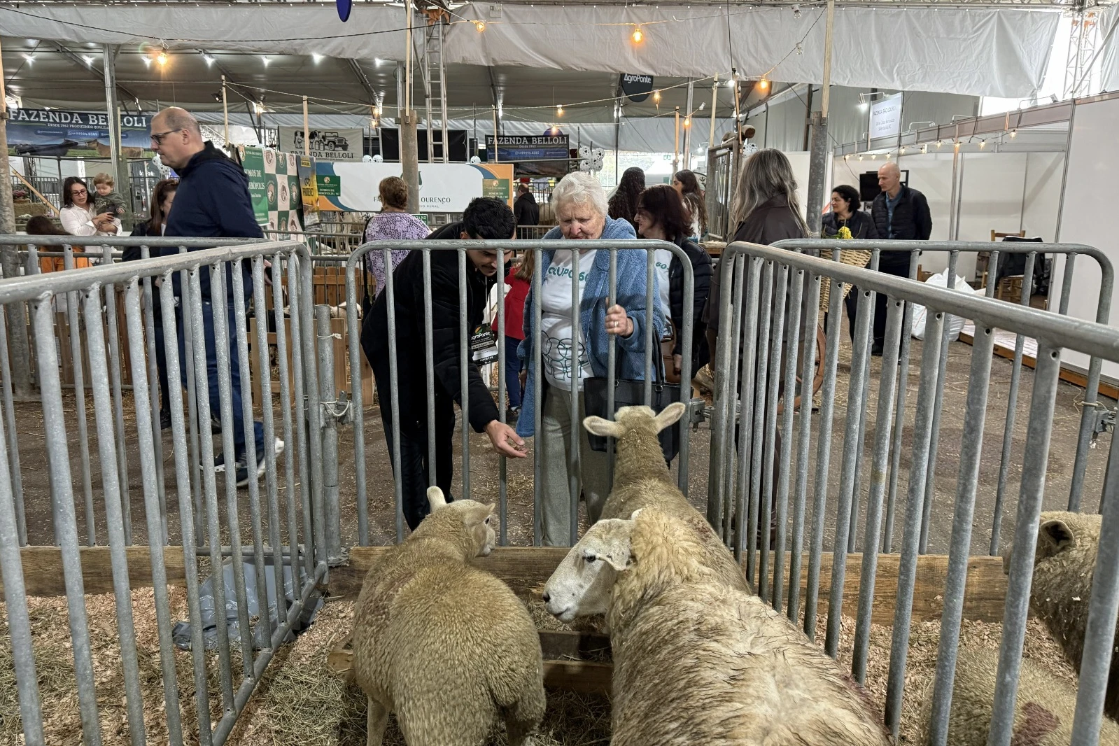 Afasc promove visita de 300 participantes à 15ª edição da Feira AgroPonte